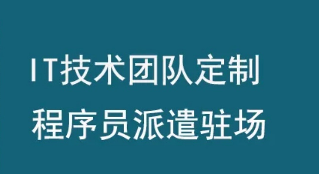 杭州軟件人才外派公司